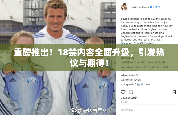 重磅推出！18禁内容全面升级，引发热议与期待！