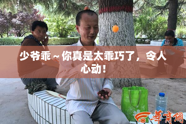 少爷乖～你真是太乖巧了，令人心动！