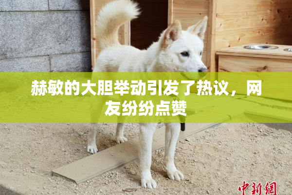赫敏的大胆举动引发了热议，网友纷纷点赞