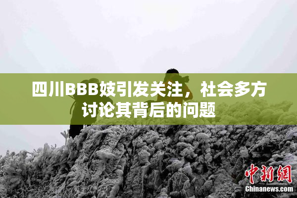 四川BBB妓引发关注，社会多方讨论其背后的问题
