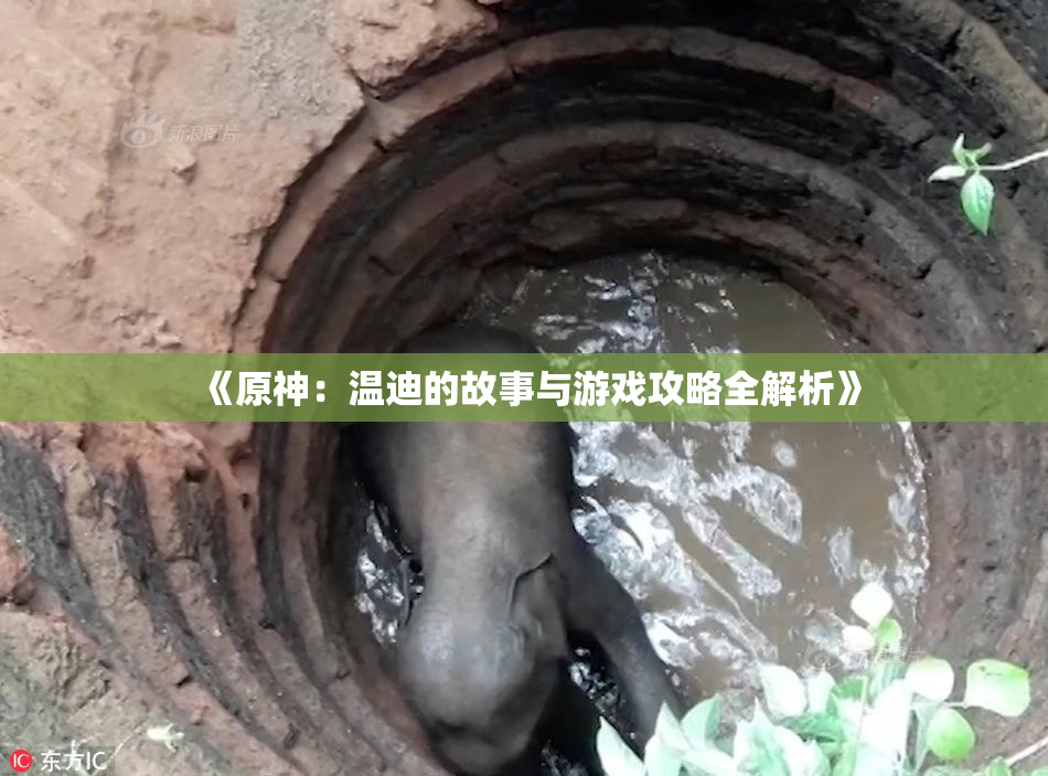 《原神：温迪的故事与游戏攻略全解析》
