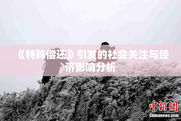 《特殊偿还》引发的社会关注与经济影响分析