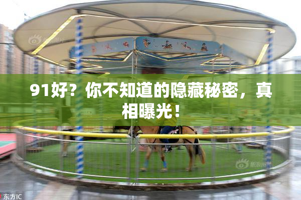 91好？你不知道的隐藏秘密，真相曝光！