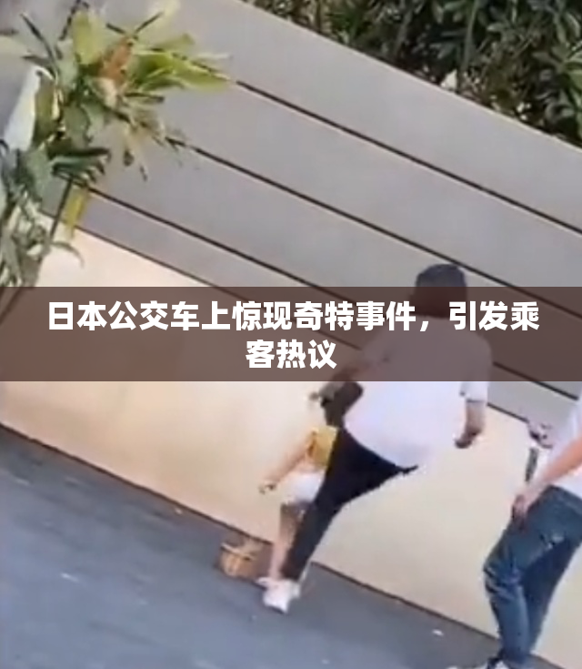 日本公交车上惊现奇特事件，引发乘客热议