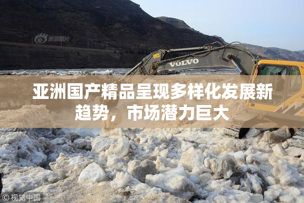 亚洲国产精品呈现多样化发展新趋势，市场潜力巨大