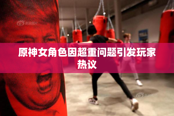 原神女角色因超重问题引发玩家热议