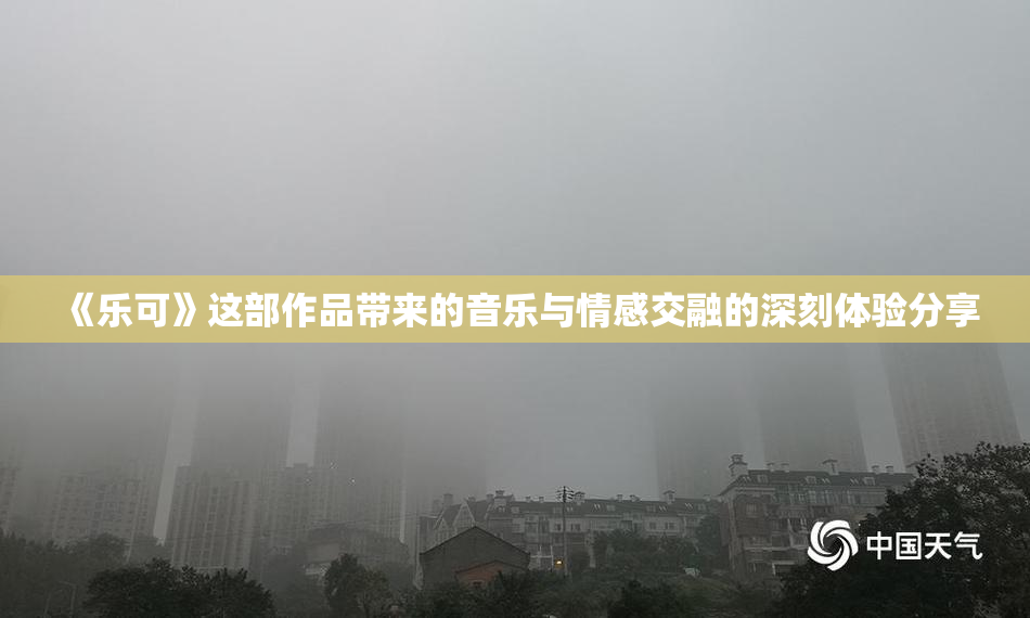 《乐可》这部作品带来的音乐与情感交融的深刻体验分享