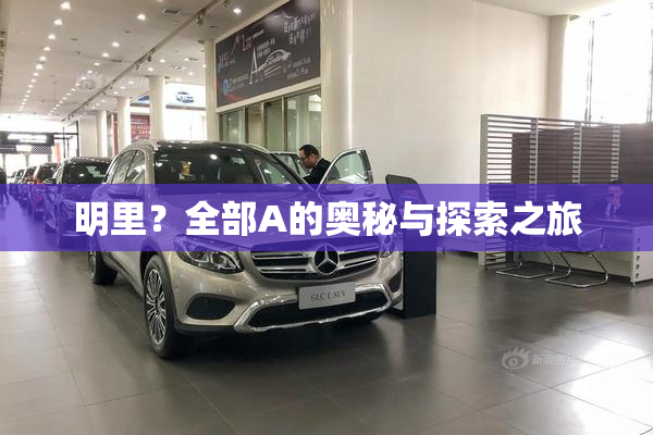 明里？全部A的奥秘与探索之旅