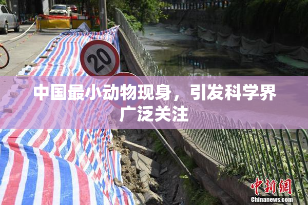 中国最小动物现身，引发科学界广泛关注