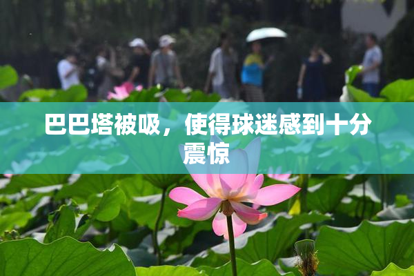 巴巴塔被吸，使得球迷感到十分震惊