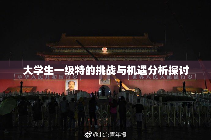 大学生一级特的挑战与机遇分析探讨