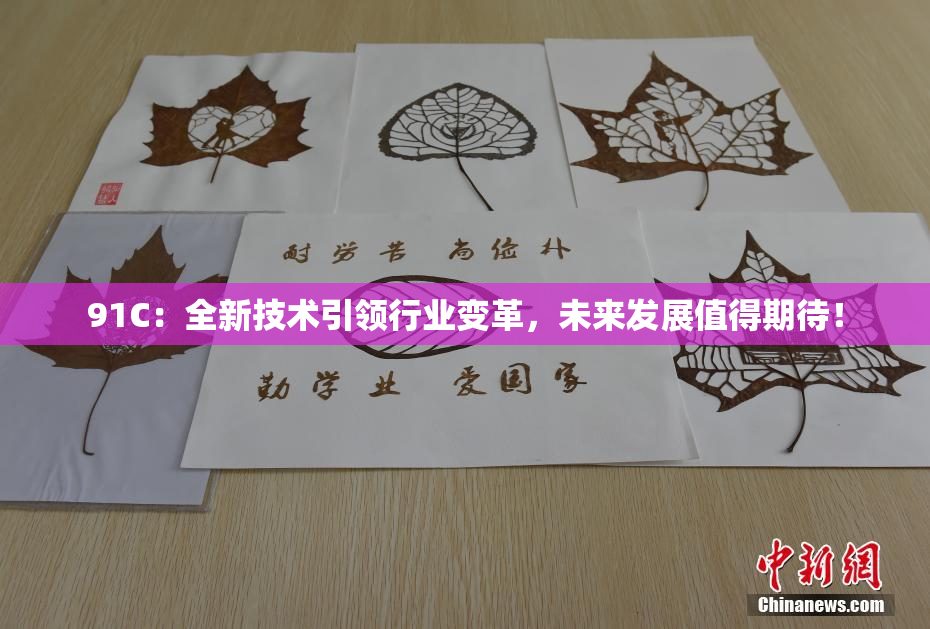 91C：全新技术引领行业变革，未来发展值得期待！