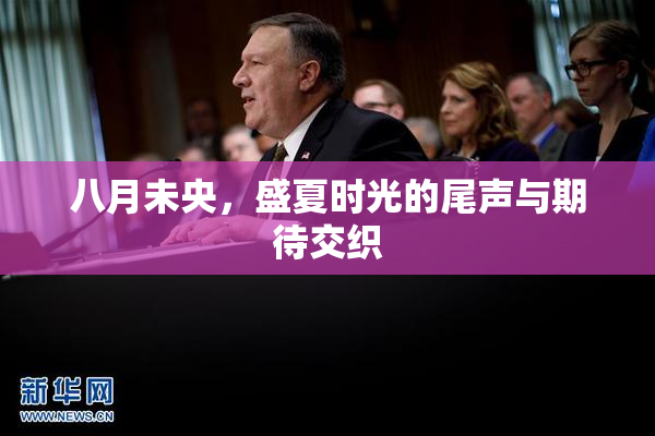 八月未央，盛夏时光的尾声与期待交织