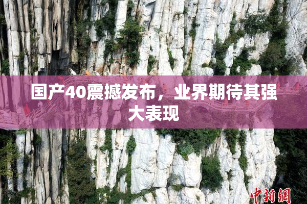 国产40震撼发布，业界期待其强大表现