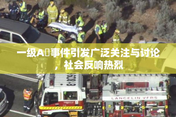 一级A婬事件引发广泛关注与讨论，社会反响热烈