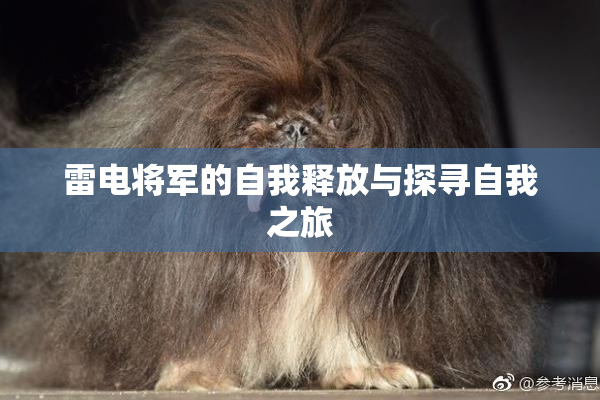 雷电将军的自我释放与探寻自我之旅