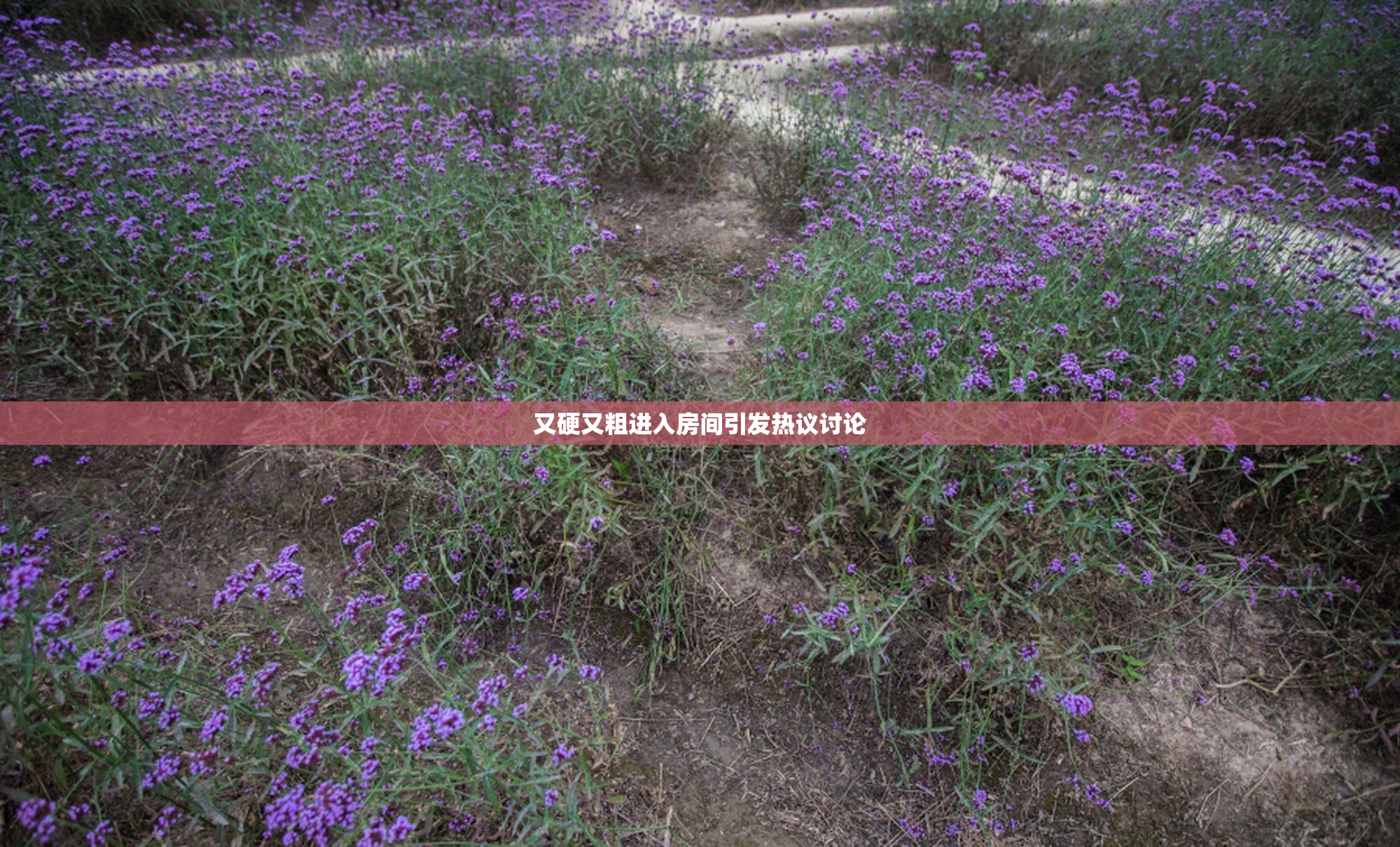 又硬又粗进入房间引发热议讨论