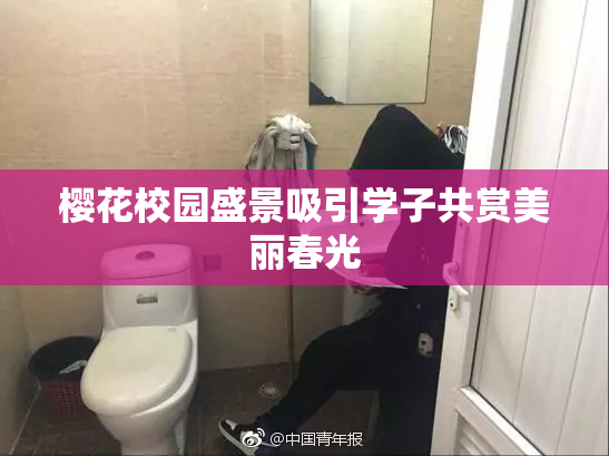 樱花校园盛景吸引学子共赏美丽春光