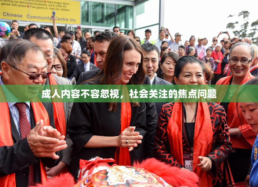 成人内容不容忽视，社会关注的焦点问题