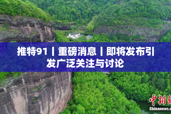 推特91丨重磅消息丨即将发布引发广泛关注与讨论