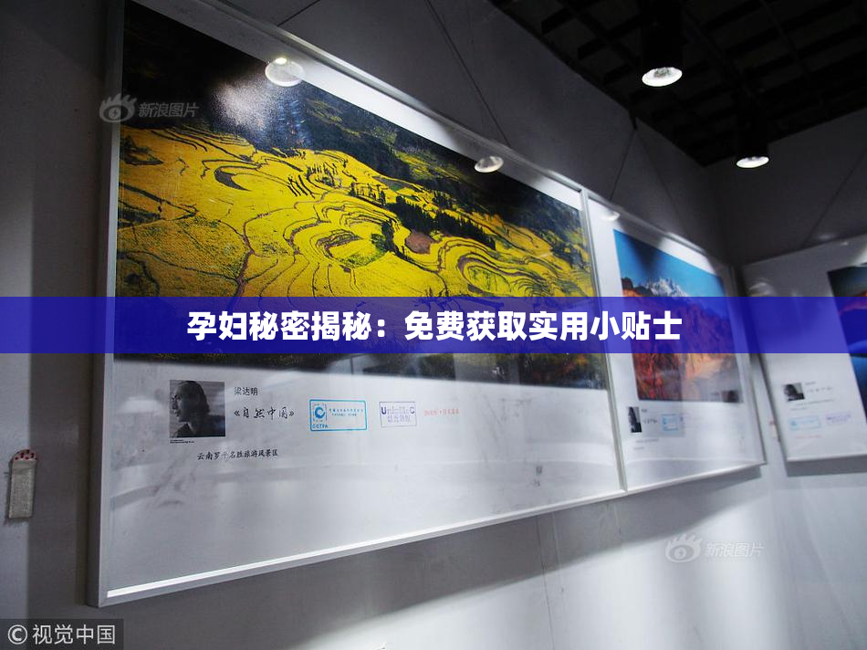 孕妇秘密揭秘：免费获取实用小贴士