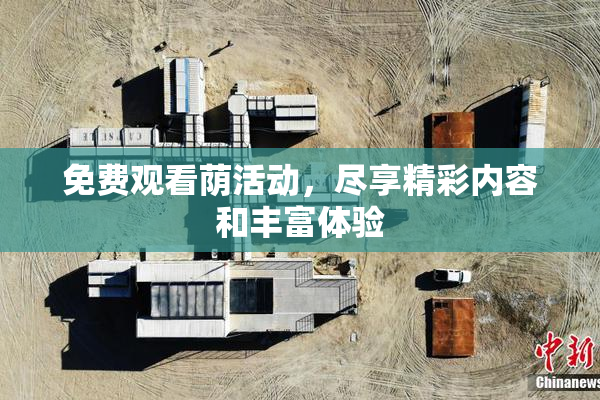 免费观看荫活动，尽享精彩内容和丰富体验