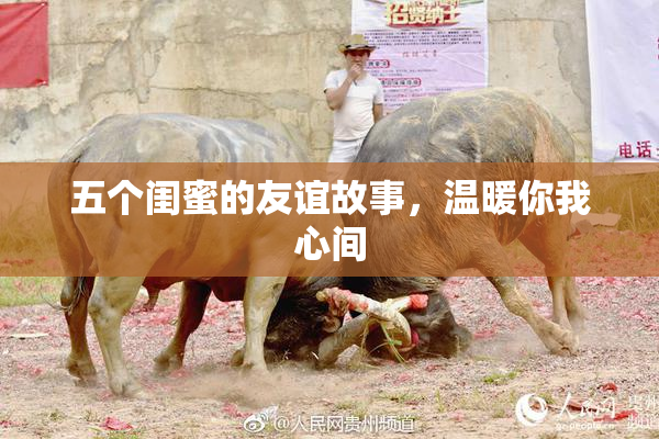 五个闺蜜的友谊故事，温暖你我心间