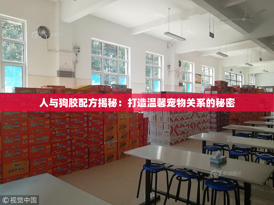 人与狗胶配方揭秘：打造温馨宠物关系的秘密