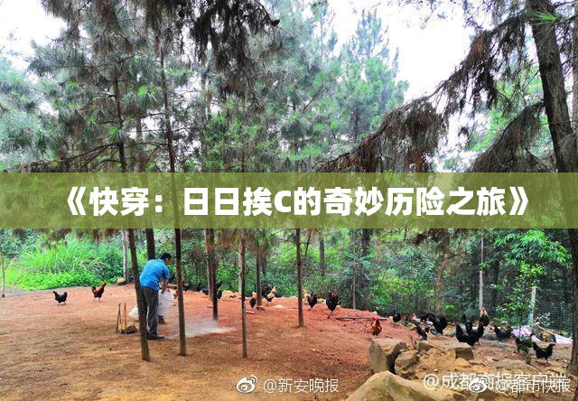 《快穿：日日挨C的奇妙历险之旅》