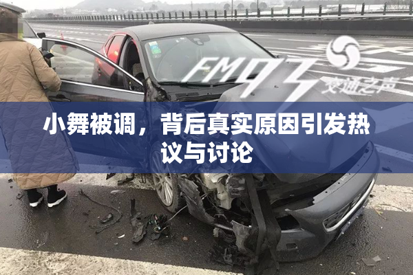 小舞被调，背后真实原因引发热议与讨论