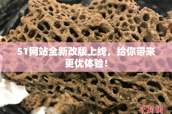 51网站全新改版上线，给你带来更优体验！