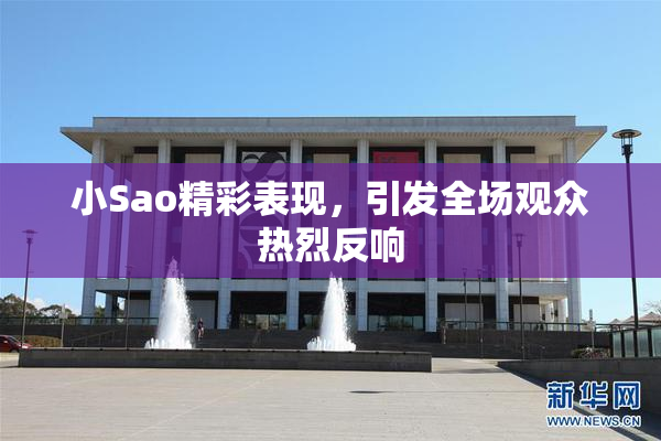 小Sao精彩表现，引发全场观众热烈反响