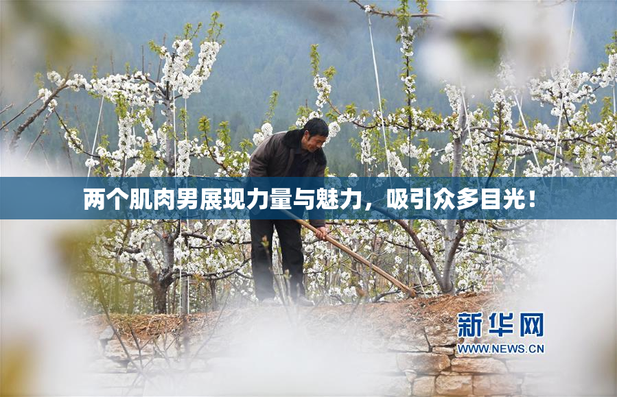 两个肌肉男展现力量与魅力，吸引众多目光！