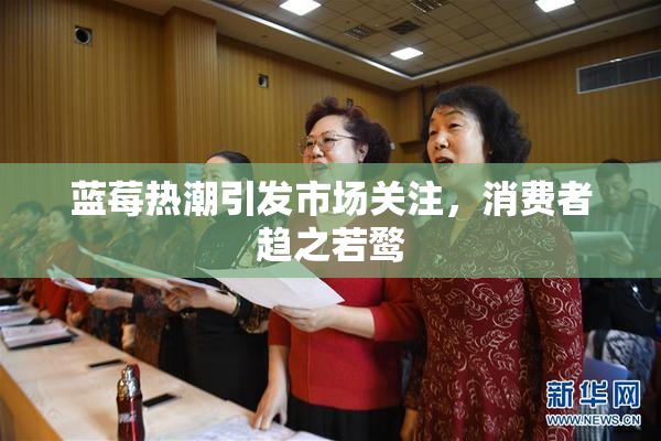 蓝莓热潮引发市场关注，消费者趋之若鹜
