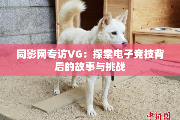 同影网专访VG：探索电子竞技背后的故事与挑战