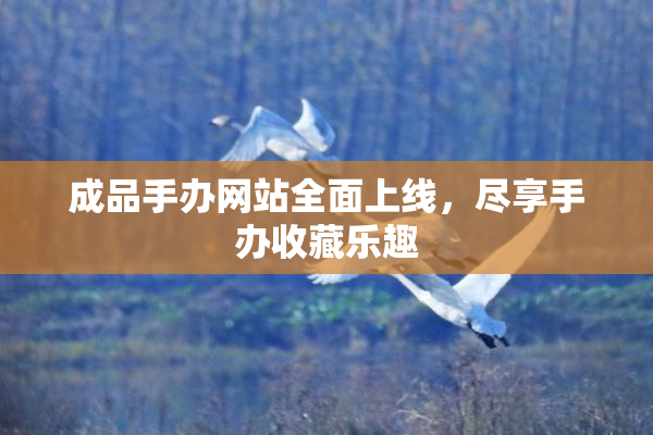 成品手办网站全面上线，尽享手办收藏乐趣
