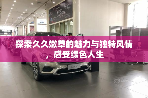 探索久久嫩草的魅力与独特风情，感受绿色人生