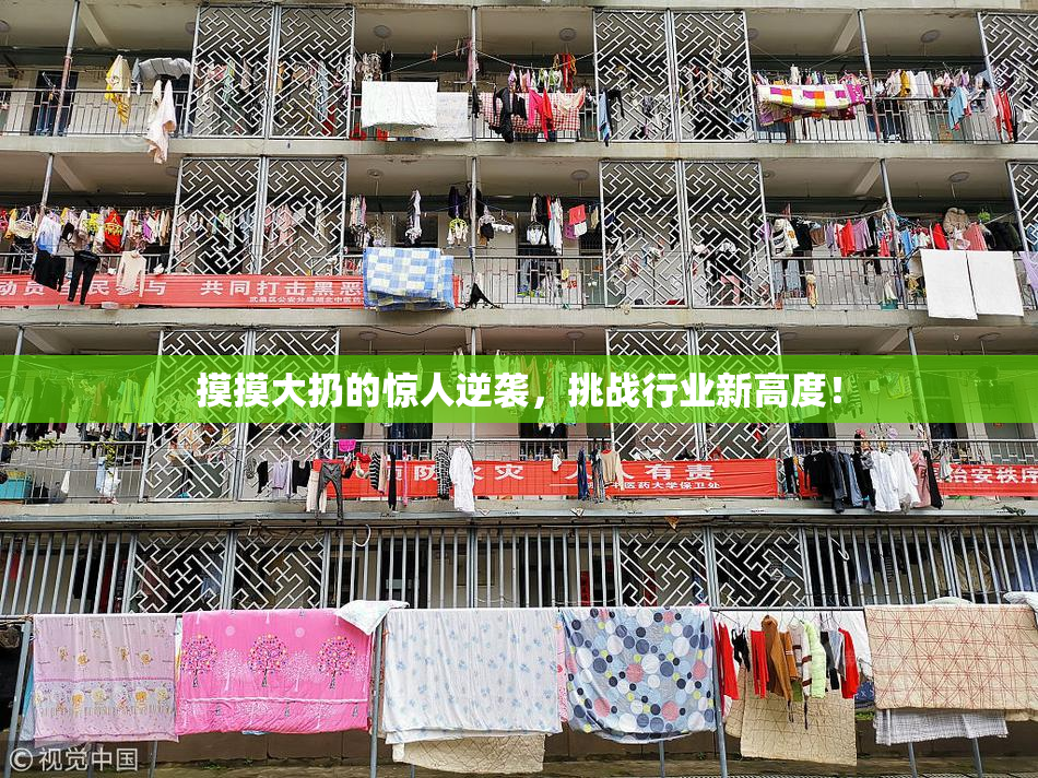 摸摸大扔的惊人逆袭，挑战行业新高度！