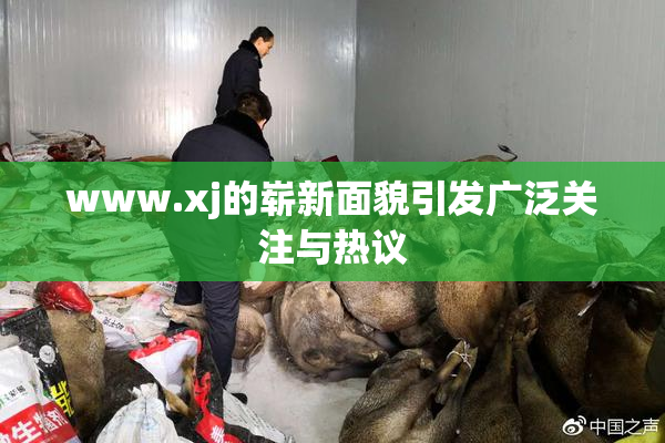 www.xj的崭新面貌引发广泛关注与热议