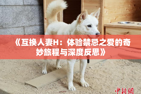 《互换人妻H：体验禁忌之爱的奇妙旅程与深度反思》