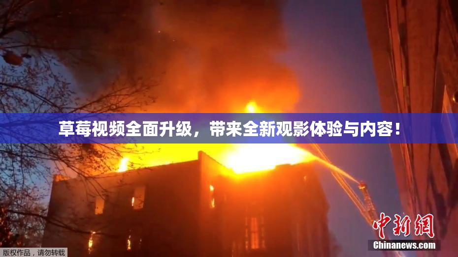 草莓视频全面升级，带来全新观影体验与内容！