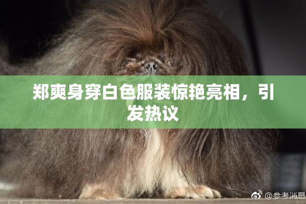 郑爽身穿白色服装惊艳亮相，引发热议