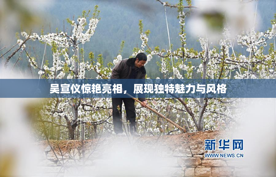 吴宣仪惊艳亮相，展现独特魅力与风格
