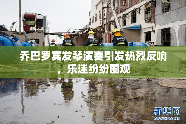 乔巴罗宾发琴演奏引发热烈反响，乐迷纷纷围观