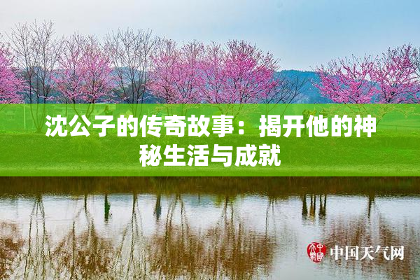 沈公子的传奇故事：揭开他的神秘生活与成就