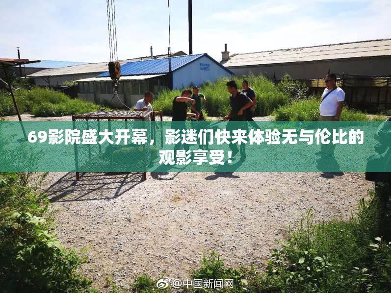 69影院盛大开幕，影迷们快来体验无与伦比的观影享受！