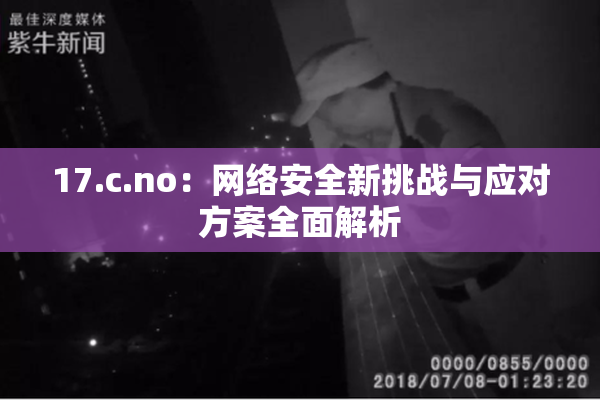 17.c.no：网络安全新挑战与应对方案全面解析