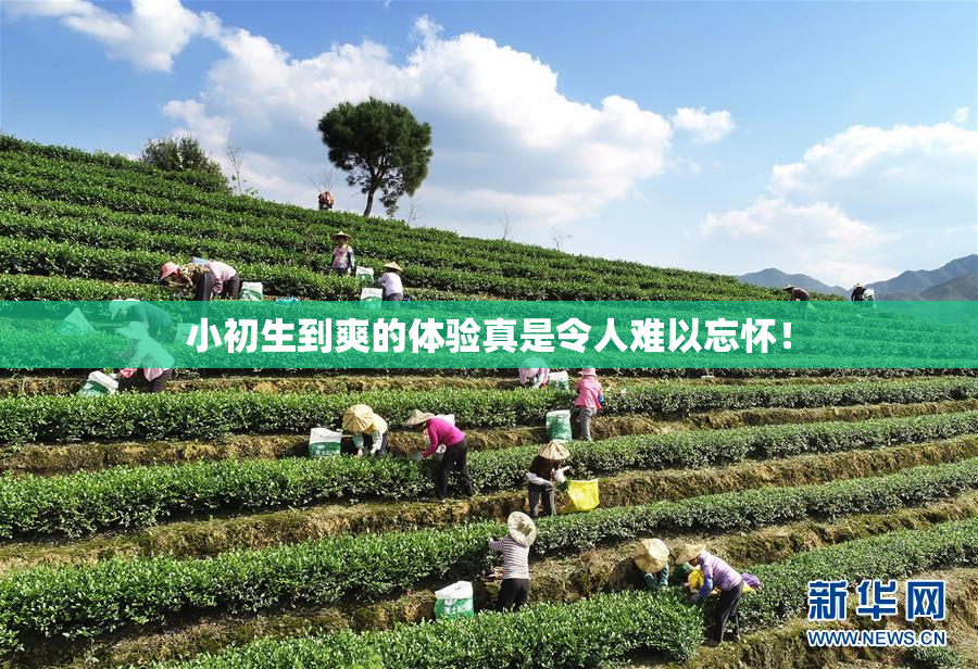 小初生到爽的体验真是令人难以忘怀！