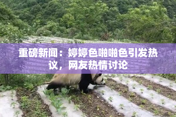 重磅新闻：婷婷色啪啪色引发热议，网友热情讨论