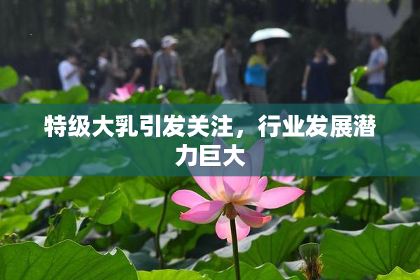特级大乳引发关注，行业发展潜力巨大